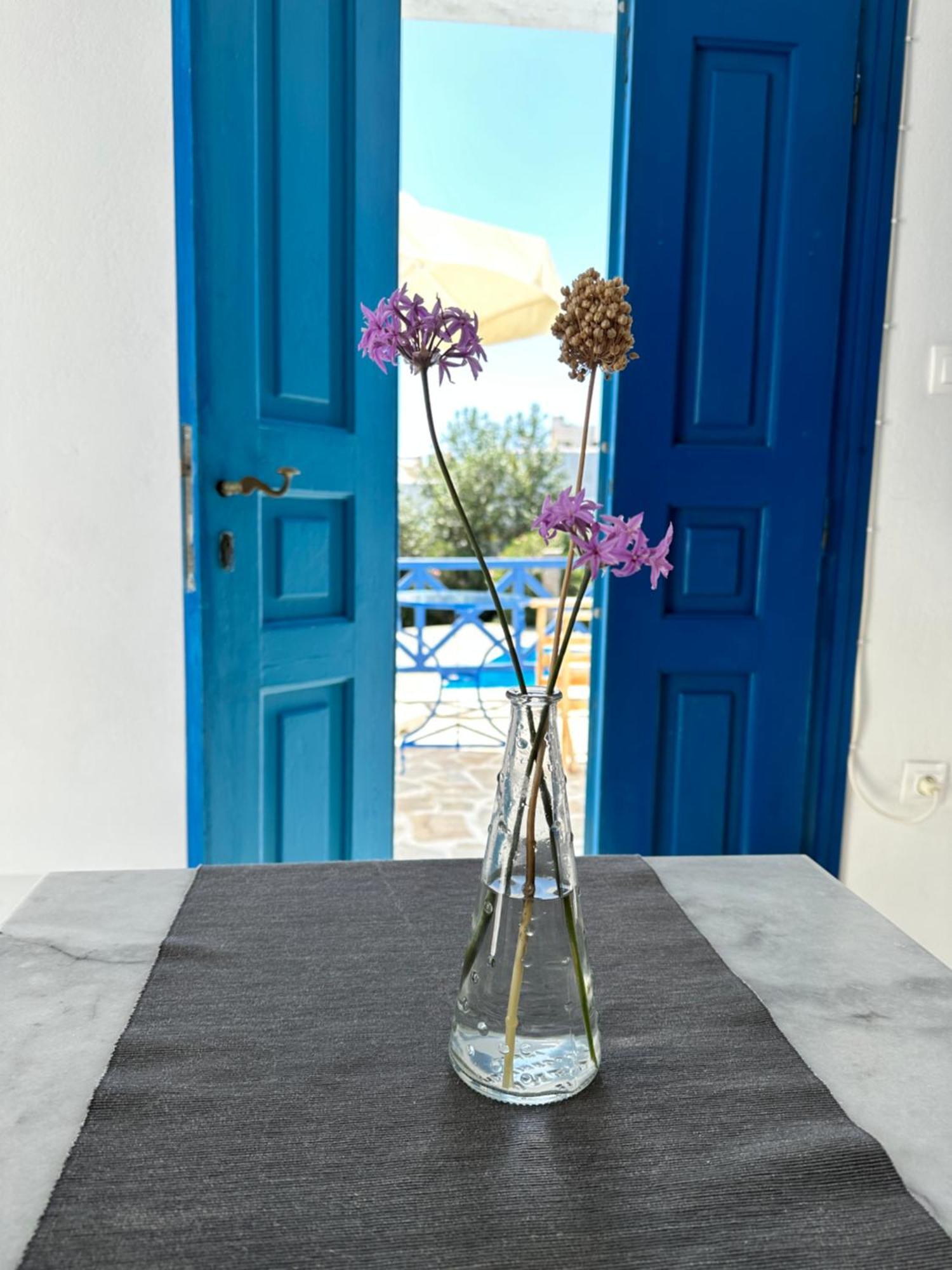 Iliopetra Studios Chrisi Akti  Exterior foto
